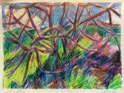 Tree branches
crayon Tree branches
crayon